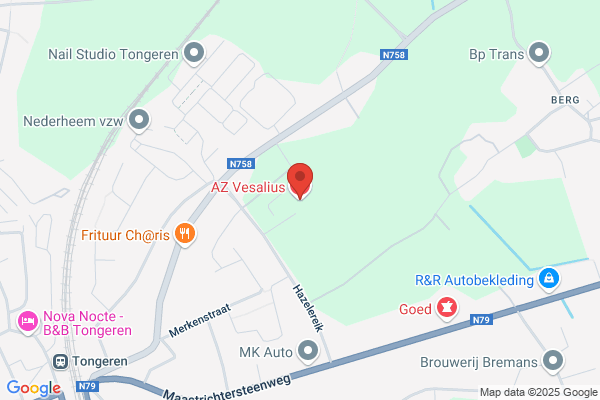 Az Vesalius Tongeren