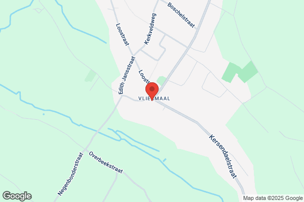 Vlierhof ('t)