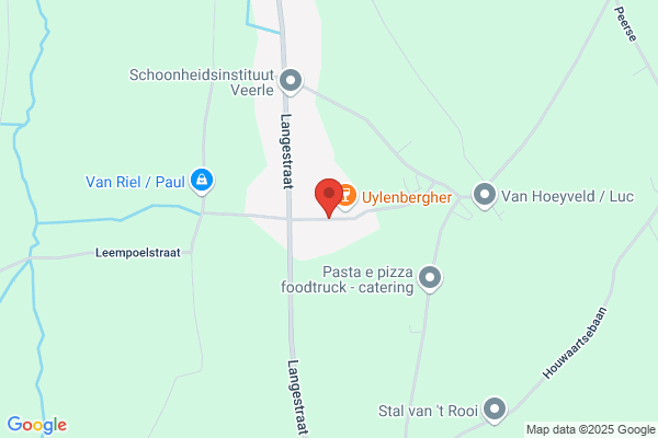 De Feestmeester
