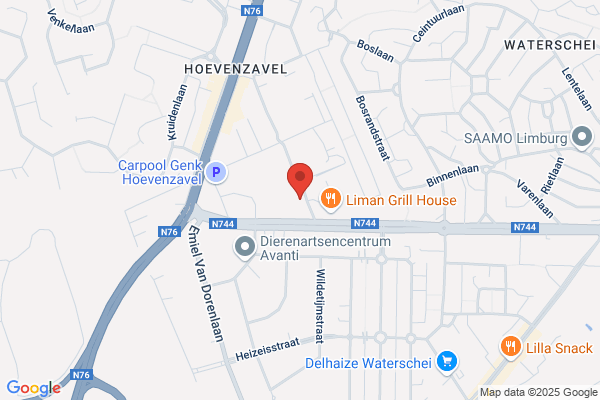 Lagere Jongensschool