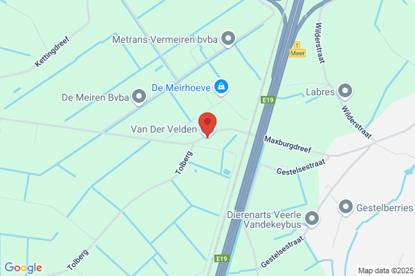Van Der Velden/Rene
