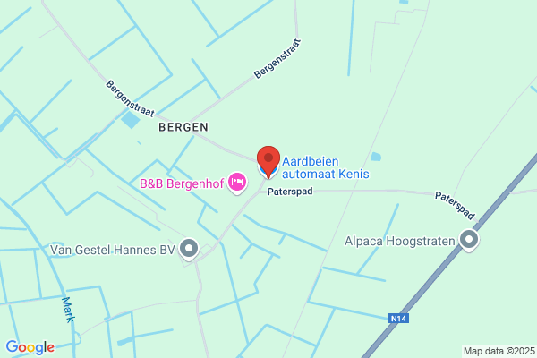Bergse Aardbeien