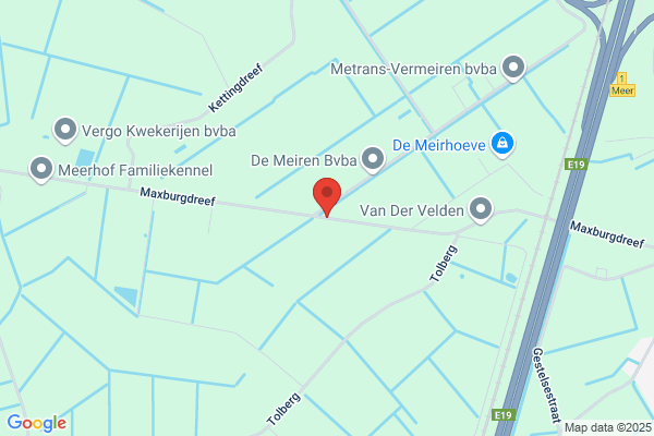 Vermeiren L.