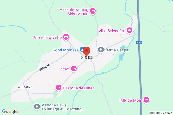 Ardenebranchage
