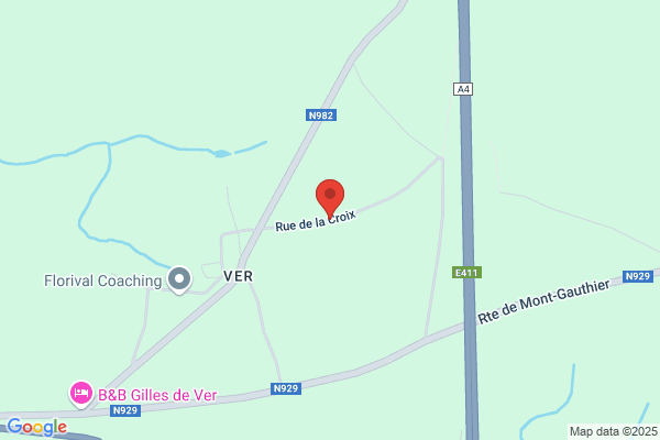 Duesberg Sprl