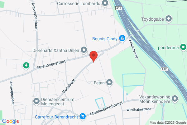 Van Roosbroeck/Andre