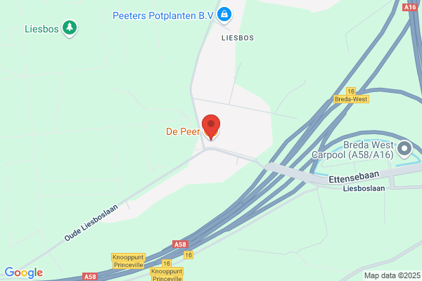 Van De Peer S