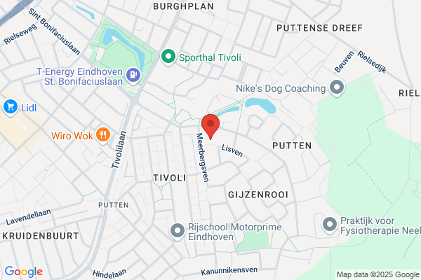 Van Bergen Consultancy