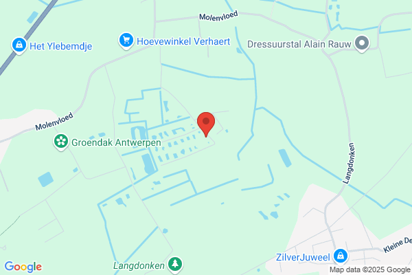 De Mondt/Raymond