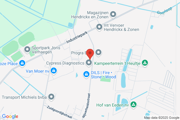 Spaepen/Walter
