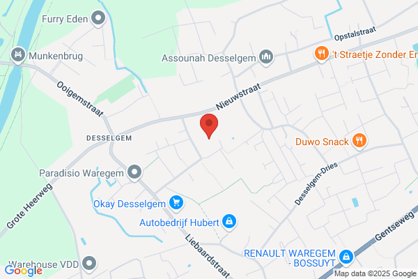 De Korenaar