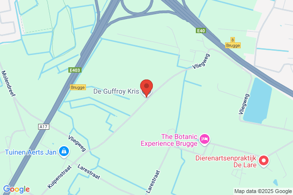 De Guffroy K