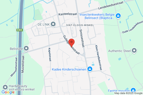 Witdouck Geert