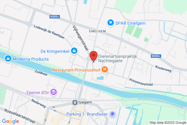 Nachtegaele/Luc