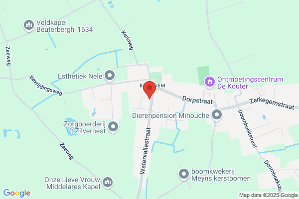 Ludo Despiegelaere