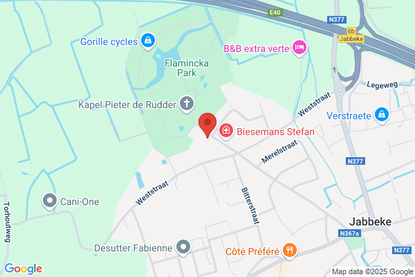 Passchyn P