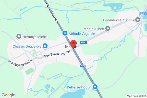 Souvenances Du Lapuron (Les)