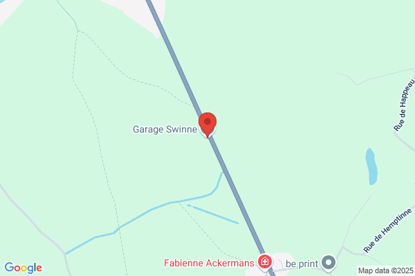 Swinne Garage