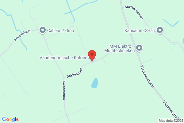 Vandendriessche K