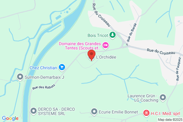 L'orchidée