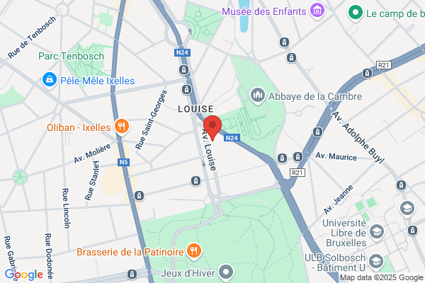 LIMOUSINE BRUSSELS