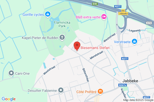 Biesemans Stefan
