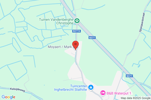 Moyaert/Mark