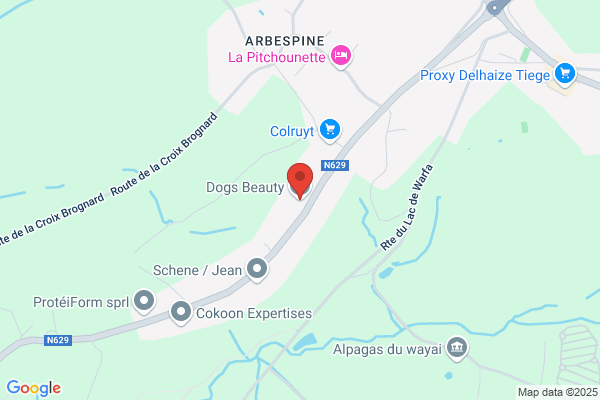 L'art Des Chiens