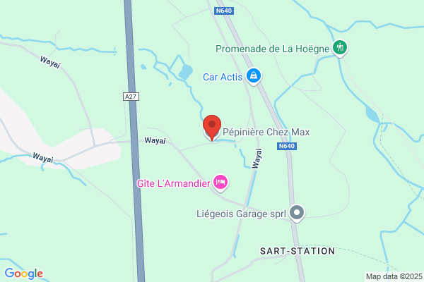 Le Gras P