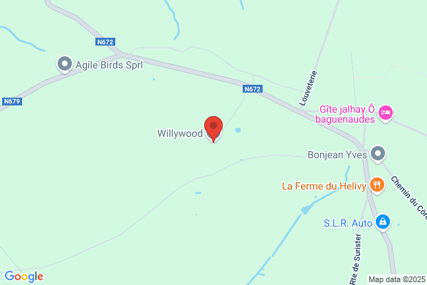 Willywood