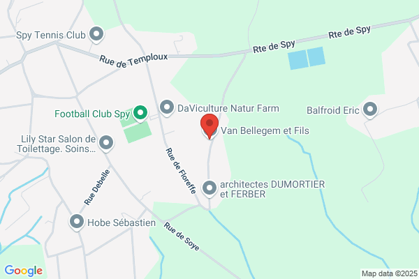 Van Bellinghem F