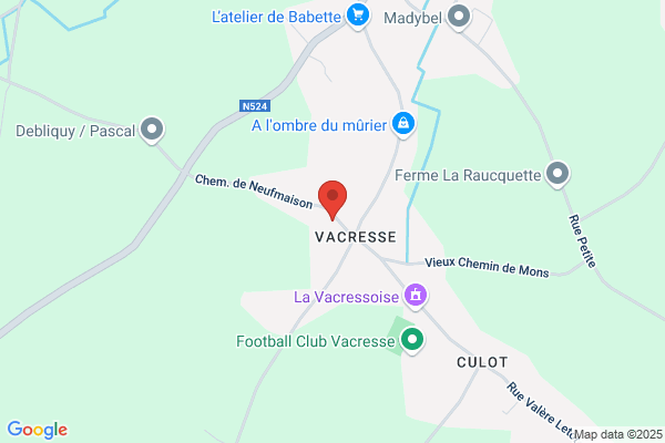 Van Assche/Christine