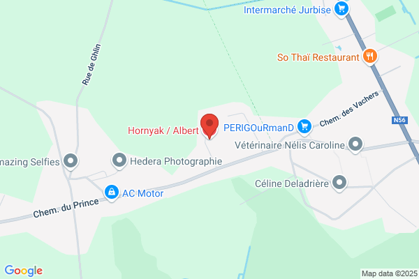 Hornyak/Albert