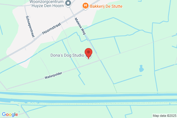 Dona's Dog Studio