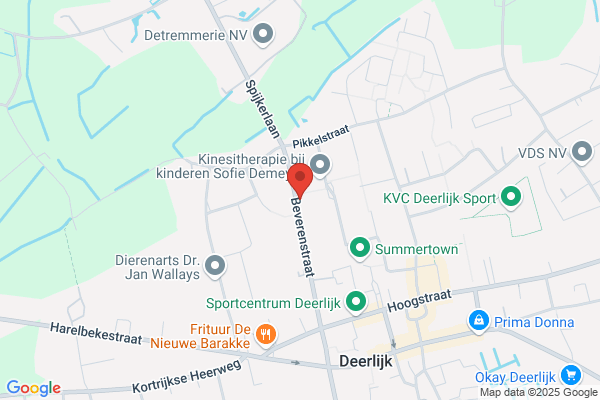 Belgische Federatie Voor Kinesiologie Vzw