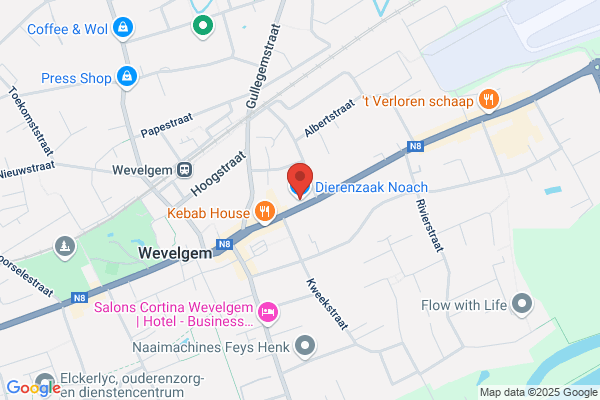 Dierenzaak Noach