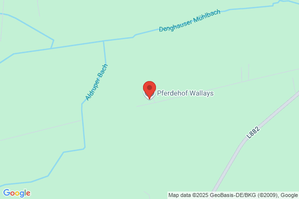 Wallays S