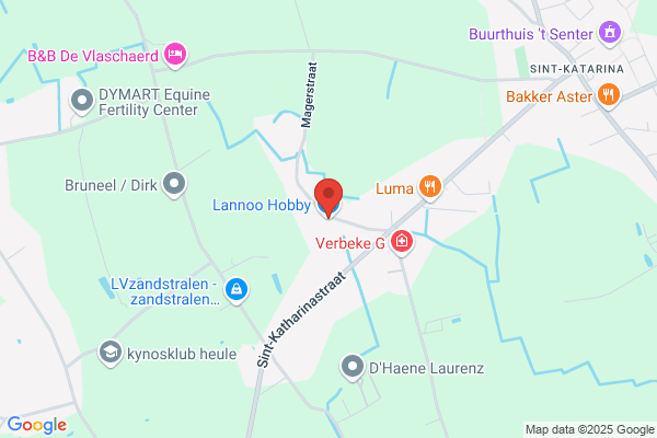 Lannoo H.