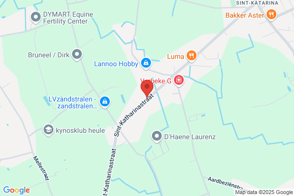 De Naeyer Lut