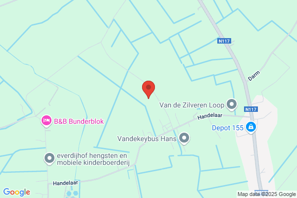 Konings-Van Loon