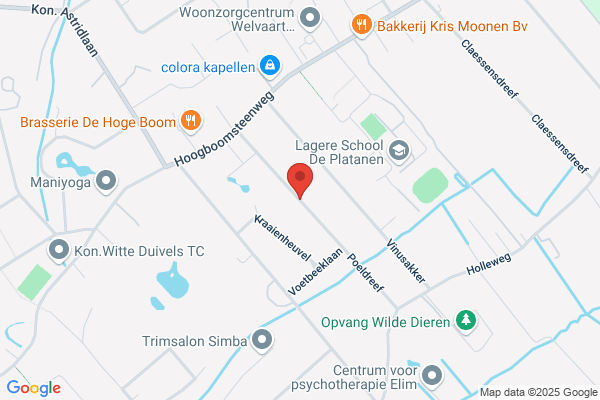 Aendenboom/Remi