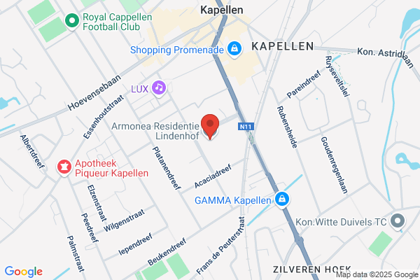 Steynen Distributie Advies Bvba Bvba