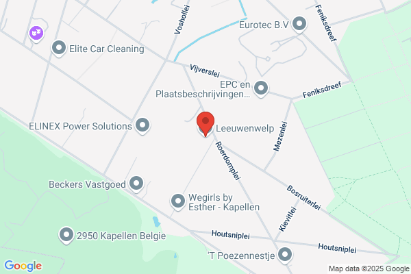 Leeuwenwelp
