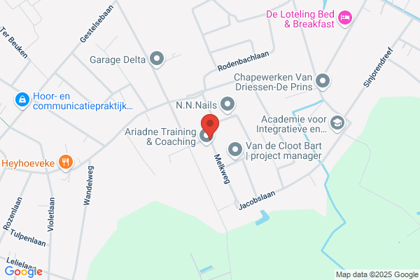 Segers & Verstricht Bvba