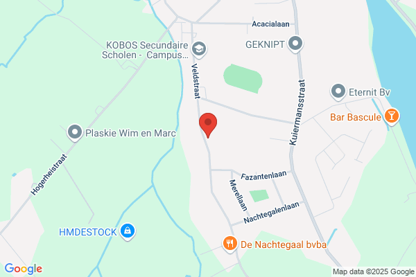 Willemans Ann