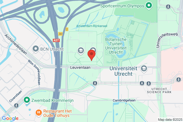 Minnaert P