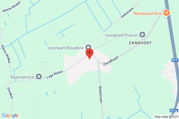 Reinaert Nv