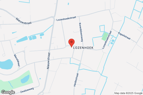 De Wijngaert/Dirk