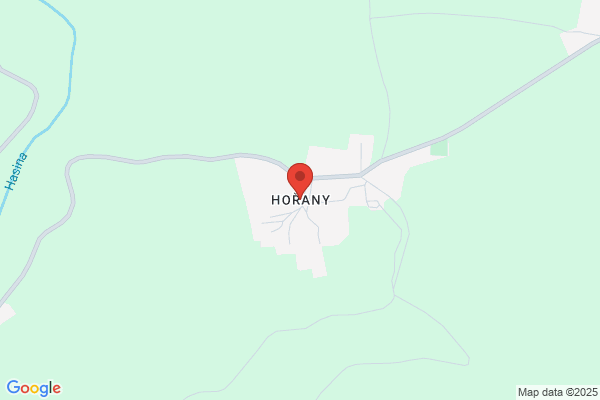 Hornix/Ronny