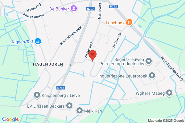 Lodewijks Fons